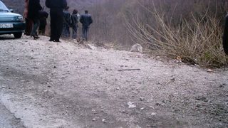 Автобусна катастрофа уби 14 души в Албания