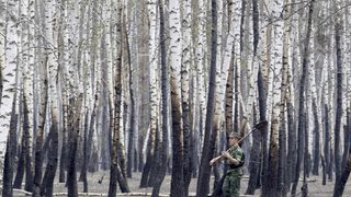 Близо 100 000 хектара тайга са обхванати от пожари в Русия