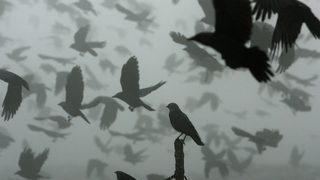 Сръбската икономика расте, но инфлацията може да повиши лихвите