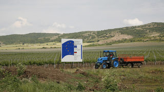 Земеделската политика пак ще избегне сериозни реформи