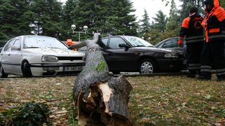 Силният вятър създаде проблеми в цялата страна
