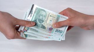 Евроексперти критикуват България за правилата за финансиране на партиите
