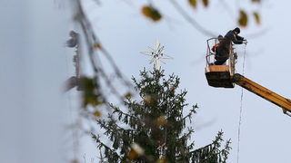 София запалва коледните светлини на 1 декември