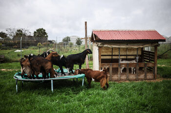 Фотогалерия: Убежище на надеждата