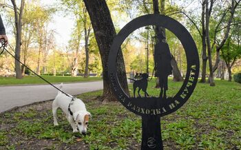 Над 100 хил. евро е събрала София от такси за кучета през 2025 година