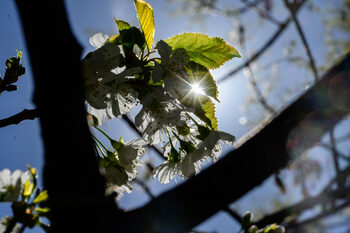 Слънцето се завръща