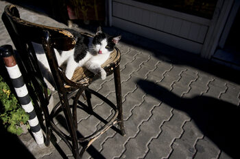 Седмицата започва с високи температури