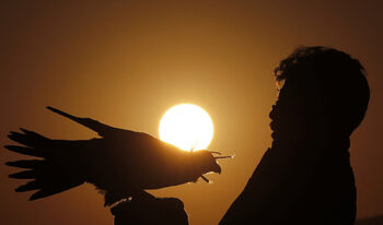 Фотогалерия: Завръщането на господарите на степта