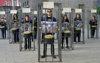 Да седнеш на държавната трапеза. Дяволът е в пептидите. Армия в кухнята