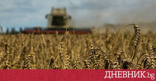 Реколтата от зърно в Украйна през 2022 г може да