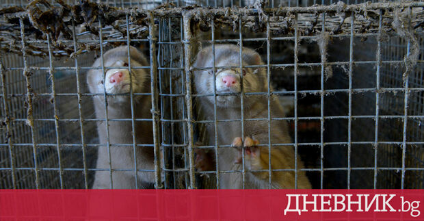 Дневник публикува становището на КАЖИ по повод ВАС с