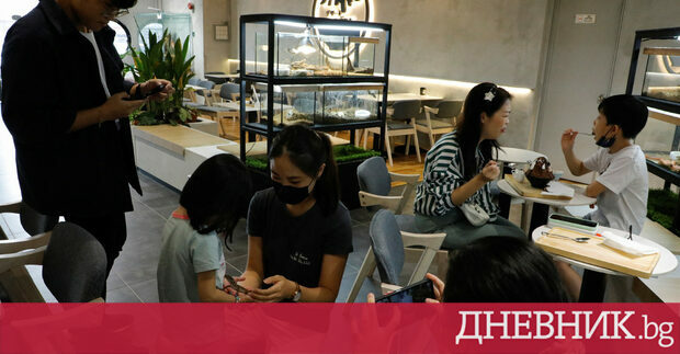 Любителят на влечуги Яп Минг Янг от Малайзия таи надежда