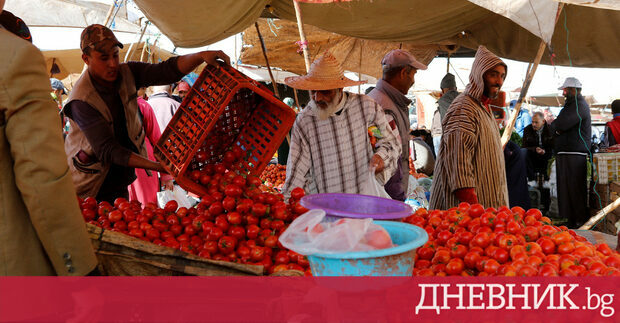 Мароко ограничи износа на домати за да намали цените на