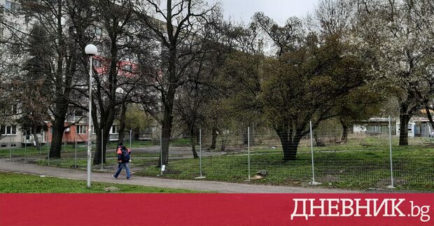 Дърветата които ще се отсекат за строежа на Петьо Блъсков