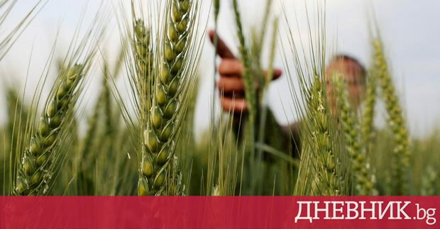 Полският министър на земеделието Хенрик Ковалчик съобщи че ще подаде