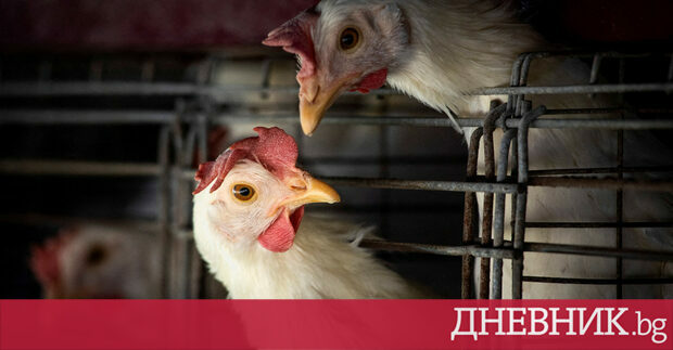 Френските здравни власти одобриха в четвъртък правителствените планове за селективно