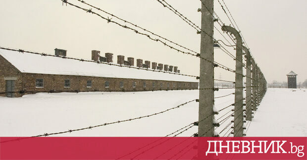 Една трета от австрийците вярват че евреите са се опитали