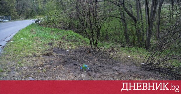 Коментарът е от профила на автора във фейсбук Заглавието е