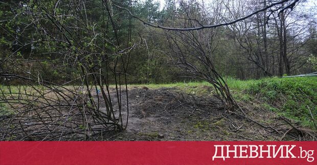 Дневник препубликува рубриката Новини с добавена стойност на Иво Балев