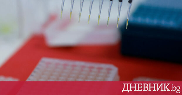 Франция потвърди че през есента ще започне ваксинация срещу птичи