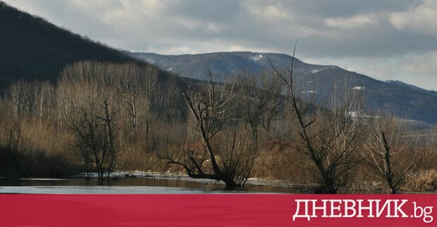 Река Бързия излезе от коритото си в Берковица и наводни