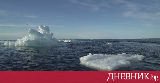 Нивата на морския лед в Антарктика са достигнали рекордно ниски