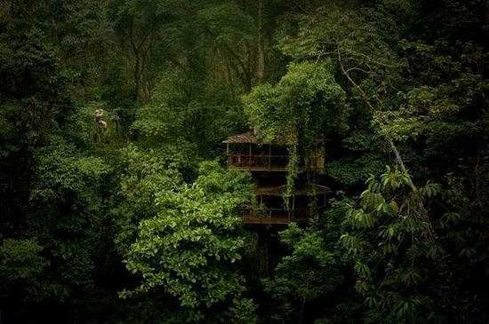 Мисията на Finca Bellavista:<br /><br />"Да дадем възможност на хора с екологично мислене да живеят в короните на дървета, сред уникалната екосистема на тропическите гори и в същото време да призовем за запазването на видовете и естествената околна среда".