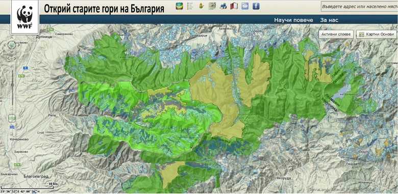 Къде са старите гори у нас