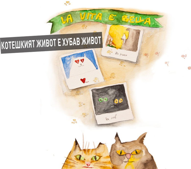 Откъс от "Лапи" на Яна Якова