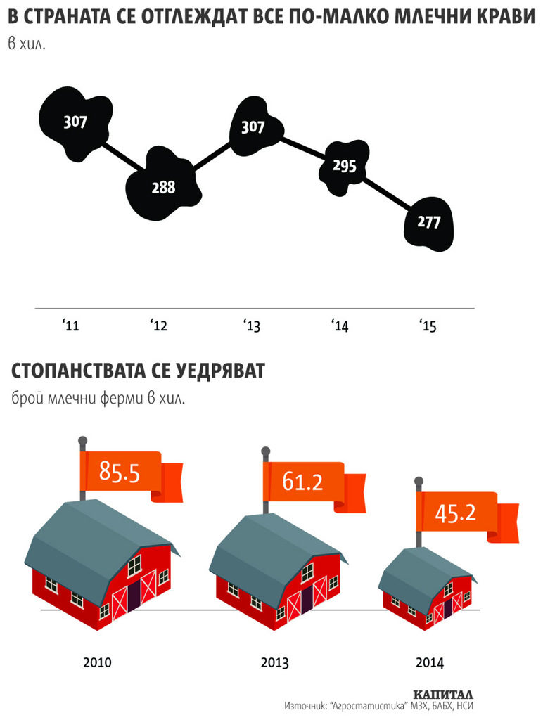 Какво се крие в сиренето