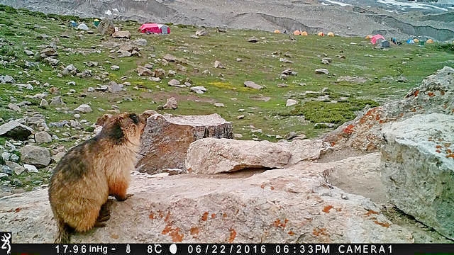 Базовият лагер през погледа на фотогеничния мармот Вальо. Снимката е направена с фотокапан поставен над входа на дупката му.