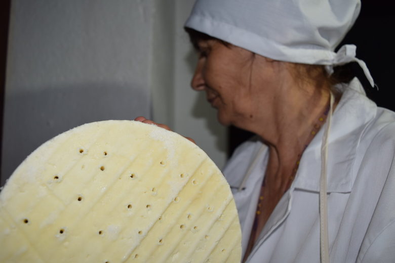 По пътя на българското синьо сирене