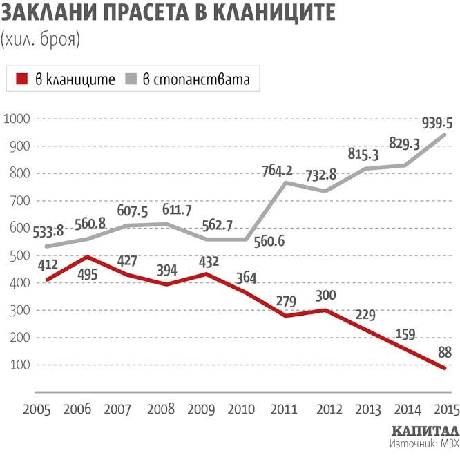 Икономика на свинското