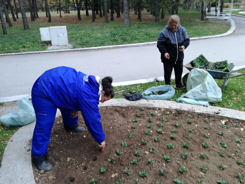 Няма измитане (Една ранна сутрин в парка)