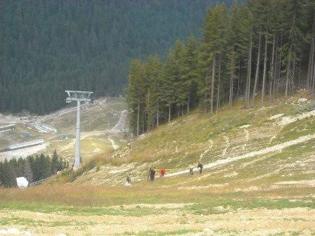 Дейности против ерозията на ски писта в Ски зона Банско, НП "Пирин"