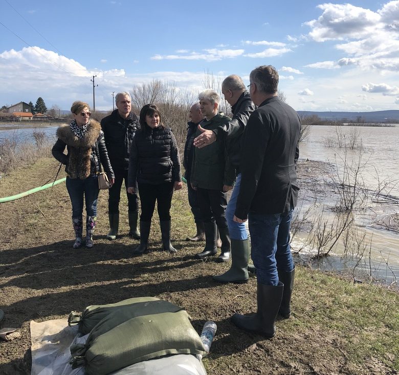 Речните води при Брегово са в добро състояние, показват първите проби (допълнена)
