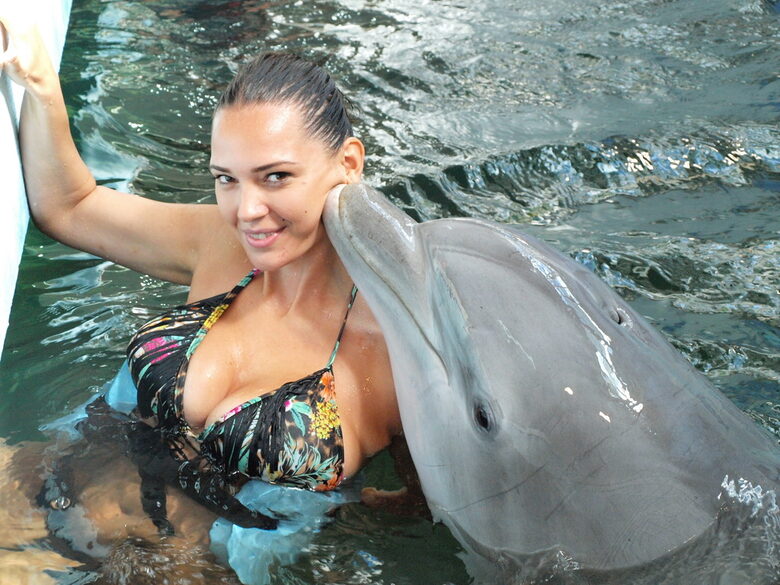 Една от снимките, които от "Феста делфинариум" изпратиха заедно с отговорите на въпросите за смъртта на четирите новородени. Една от снимките, които от "Феста делфинариум" изпратиха заедно с отговорите на въпросите за смъртта на четирите новородени.