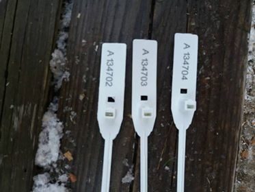 Марка за законно отсечено коледно дърво