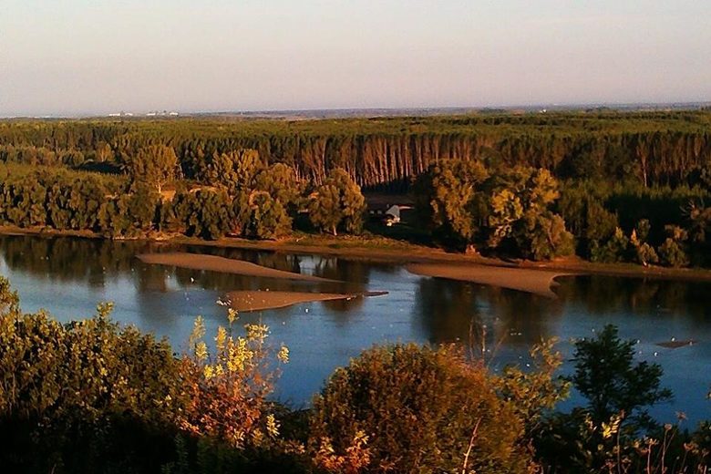 Дунавски крайречни гори