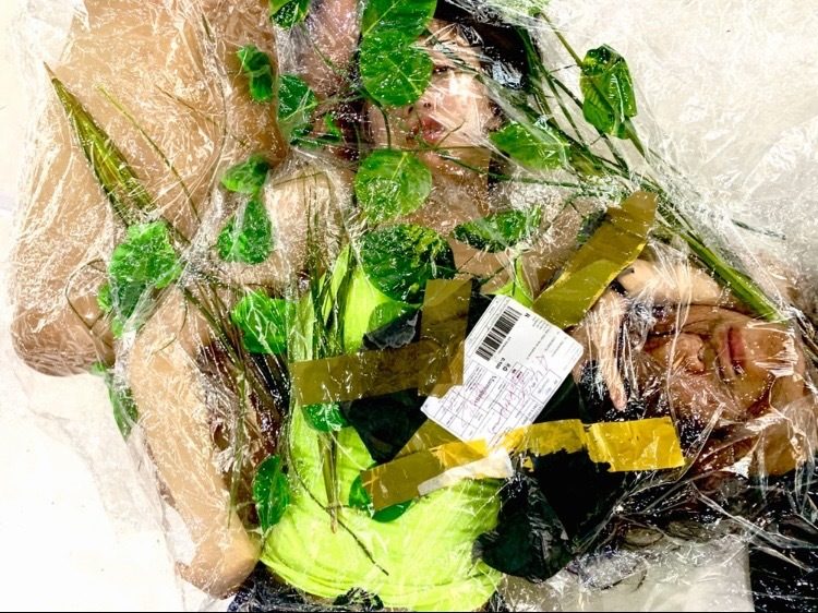 Спектакълът CAGED е движи на границата между различни изпълнителски жанрове - съвременен танц, музика и куклен театър.
