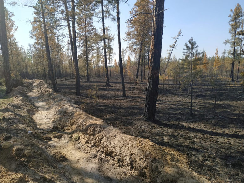 Тръмп предложи на Путин помощ за пожарите в Сибир, Медведев допусна, че са умишлени