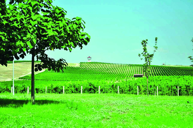 Villa Yustina Winery & Yustina Villas
