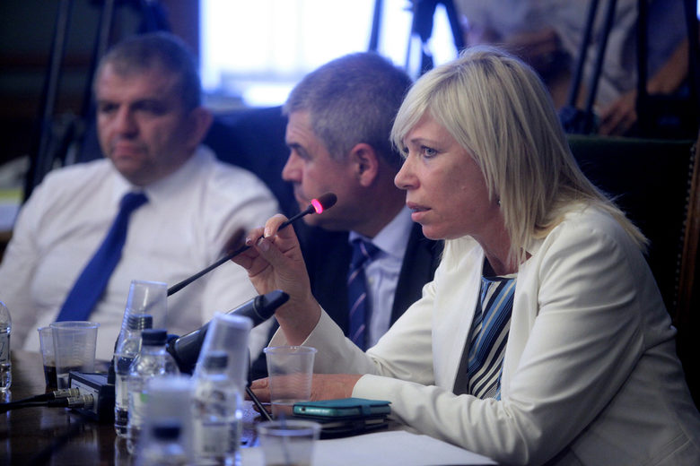 Диана Саватева в парламента.