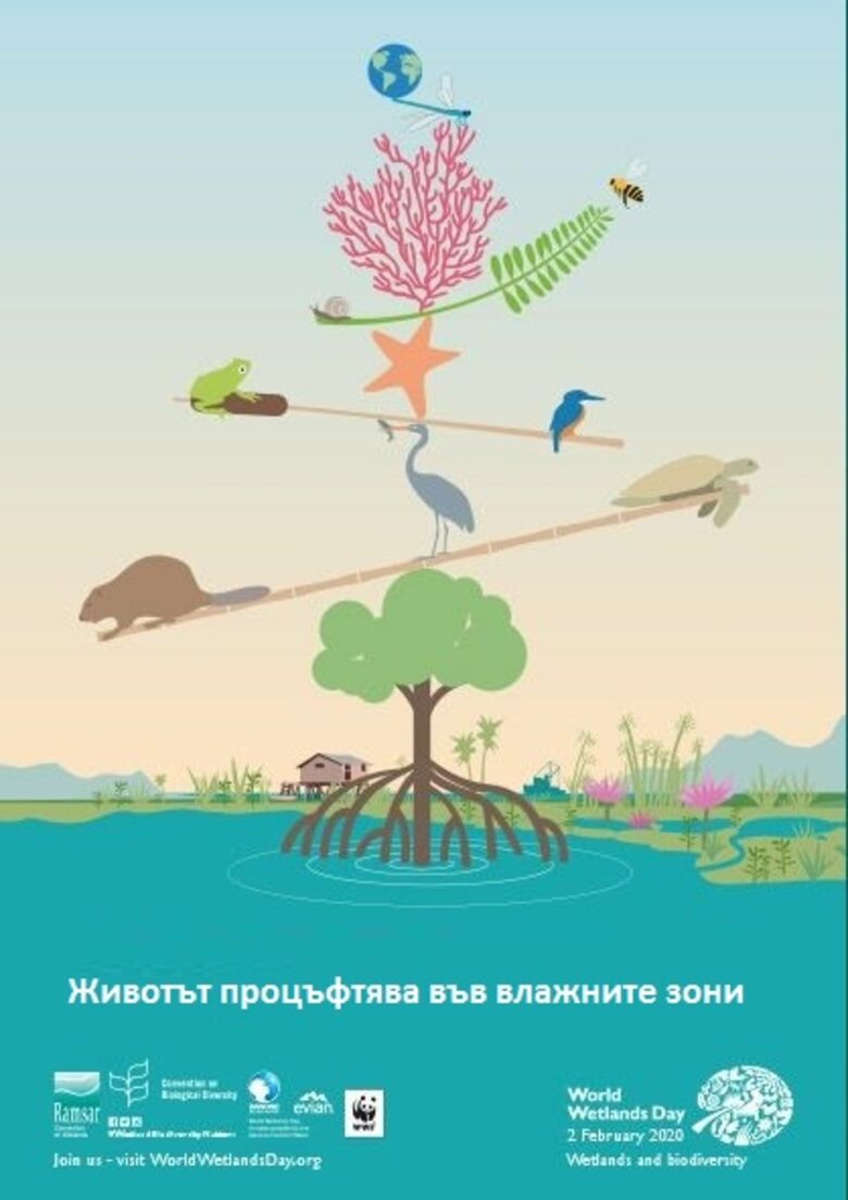 Официален плакат на световната кампания за Деня на влажните зони за 2020 г.
