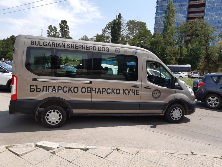 "Осемте джуджета" ли? Какво толкова..." (и още от делегатите на конференцията на ГЕРБ) "Осемте джуджета" ли? Какво толкова..." (и още от делегатите на конференцията на ГЕРБ)