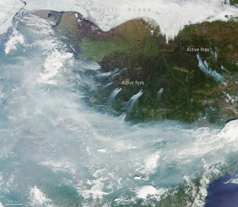 Пожарите в Сибир през 2020 г., заснети от Copernicus-Sentinel 3 на Европейската космическа агенция