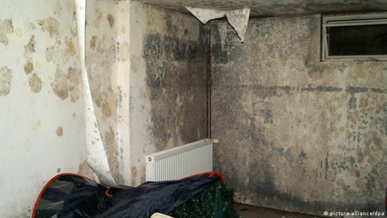 По-високата влажност в мазето нерядко води до образуването на мухъл
