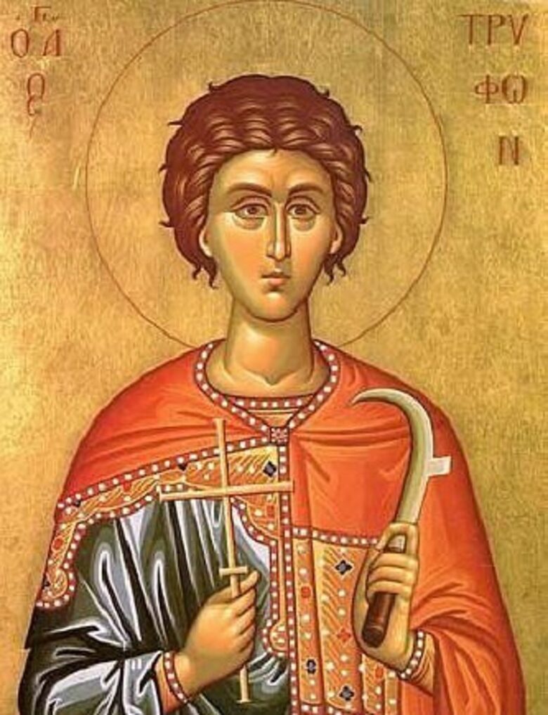 Снимката на иконата е от специализирания сайт <a href="http://www.pravoslavieto.com/life/02.01_sv_Trifon.htm">"Православието"</a>