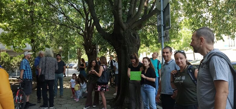 След протест земеделското министерство събира становища за сечта във вековните гори