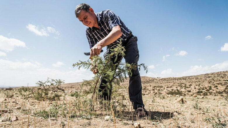  Кадър от кино лентата 